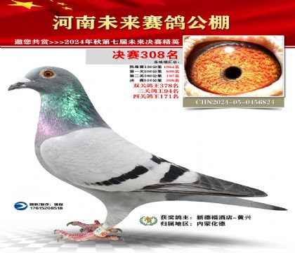 河南未来决赛308名