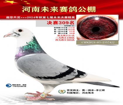 河南未来决赛309名