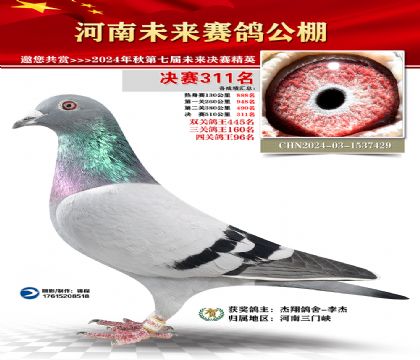 河南未来决赛311名