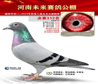 河南未来决赛312名