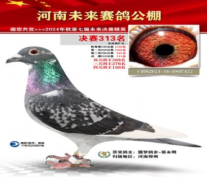 河南未来决赛313名
