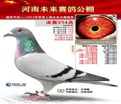 河南未来决赛314名