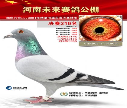 河南未来决赛316名