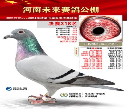 河南未来决赛318名