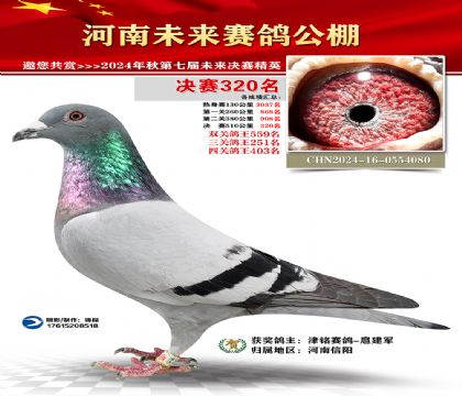 河南未来决赛320名