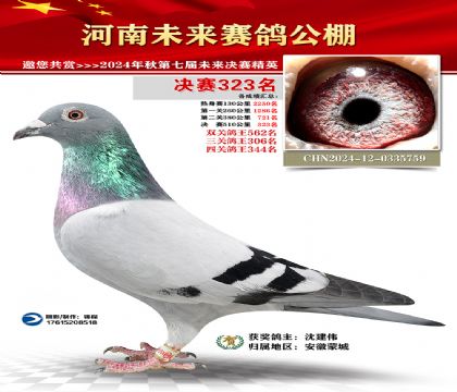 河南未来决赛323名