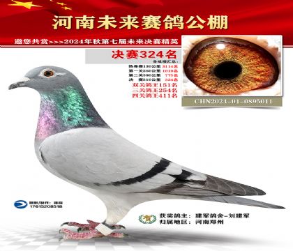 河南未来决赛324名