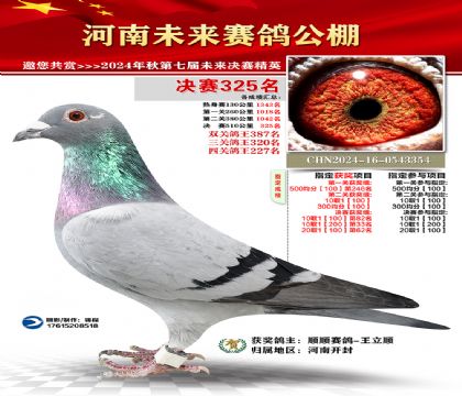 河南未来决赛325名