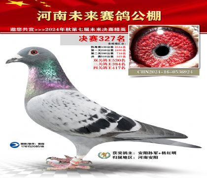 河南未来决赛327名