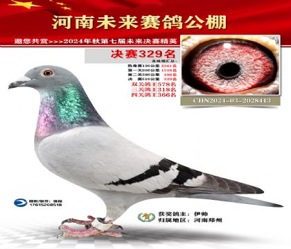 河南未来决赛329名