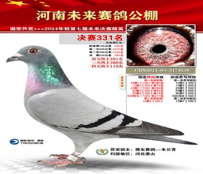 河南未来决赛331名