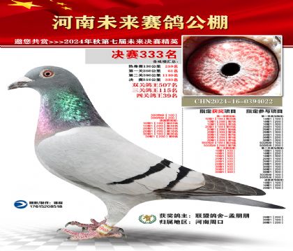 河南未来决赛333名