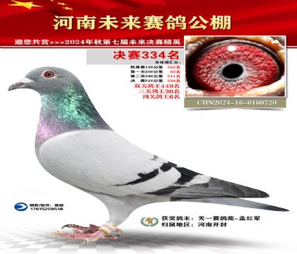 河南未来决赛334名