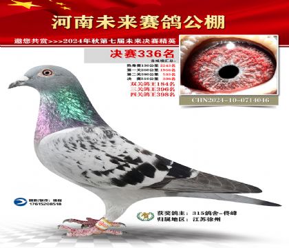 河南未来决赛336名