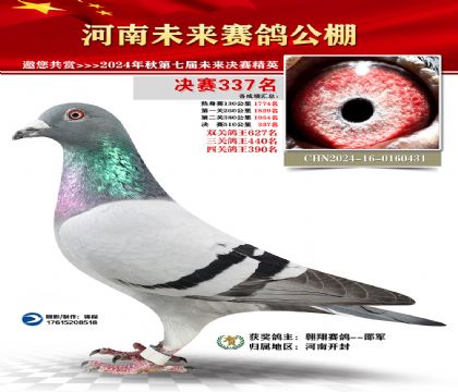 河南未来决赛337名