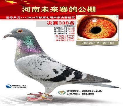 河南未来决赛338名