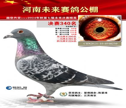 河南未来决赛340名