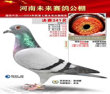 河南未来决赛341名