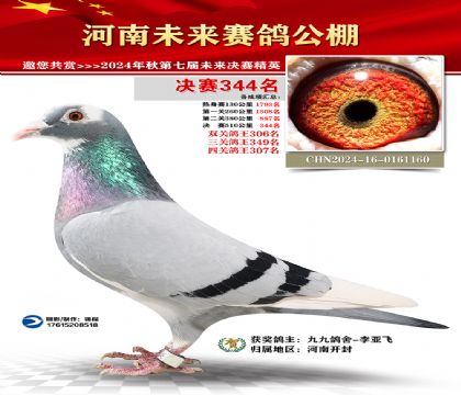河南未来决赛344名
