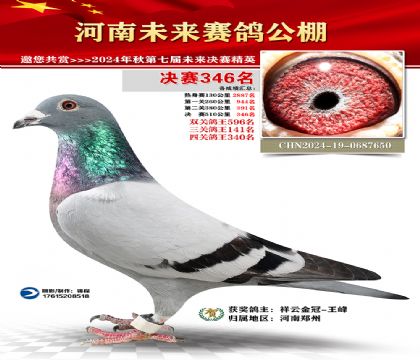 河南未来决赛346名