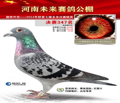 河南未来决赛347名