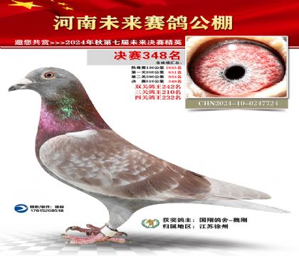 河南未来决赛348名