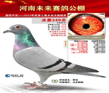 河南未来决赛349名