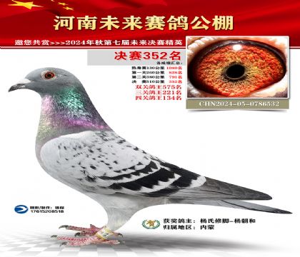 河南未来决赛352名