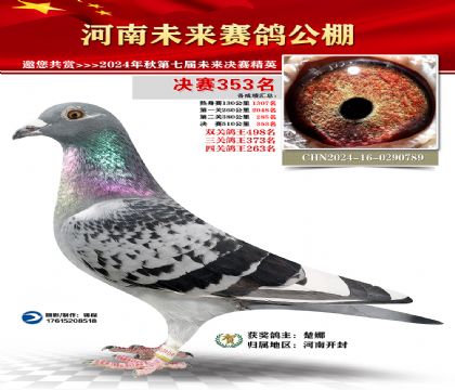 河南未来决赛353名