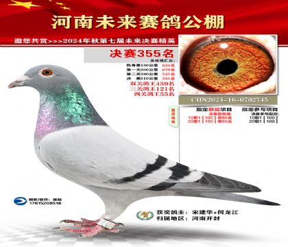 河南未来决赛355名
