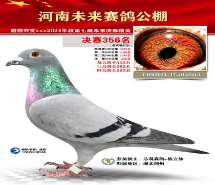 河南未来决赛356名