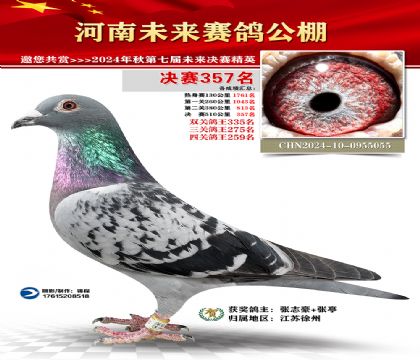 河南未来决赛357名