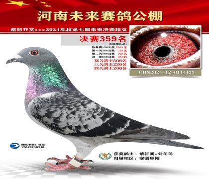 河南未来决赛359名