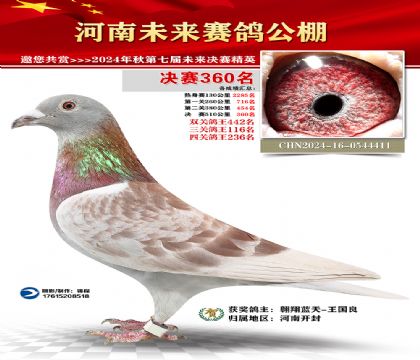 河南未来决赛360名