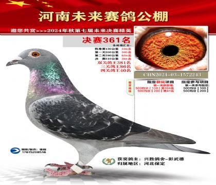 河南未来决赛361名