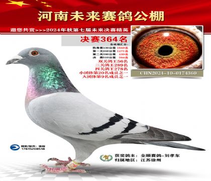 河南未来决赛364名