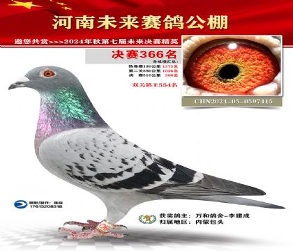 河南未来决赛366名