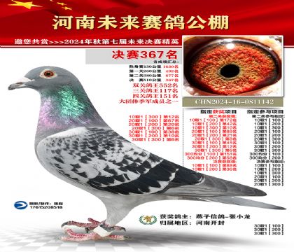 河南未来决赛367名