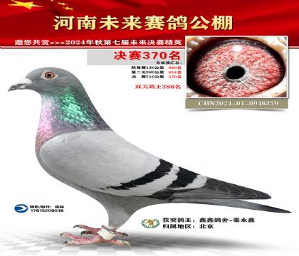 河南未来决赛370名