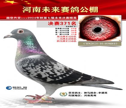 河南未来决赛371名