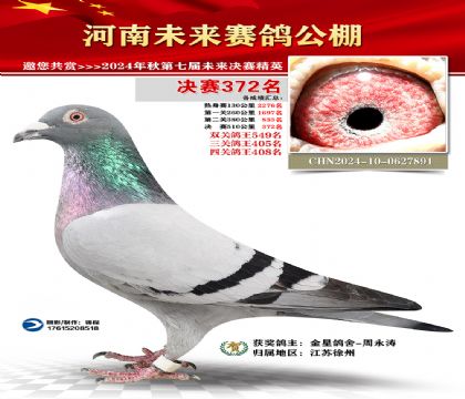 河南未来决赛372名
