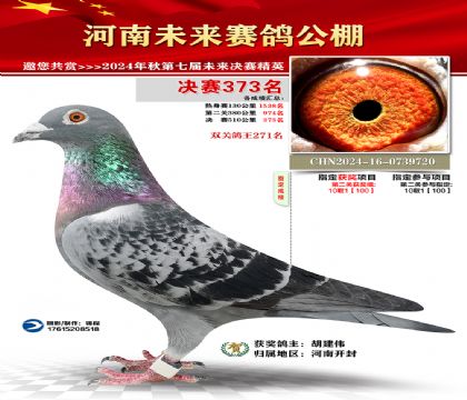 河南未来决赛373名