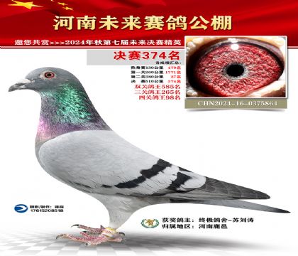 河南未来决赛374名