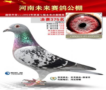 河南未来决赛375名