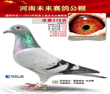 河南未来决赛378名