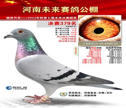 河南未来决赛379名