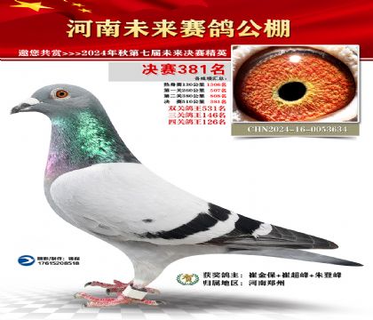 河南未来决赛381名