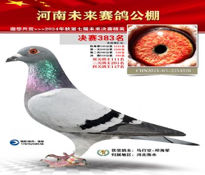 河南未来决赛383名