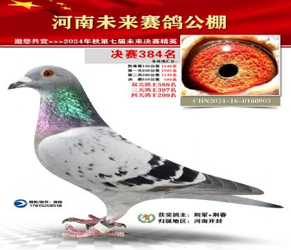 河南未来决赛384名