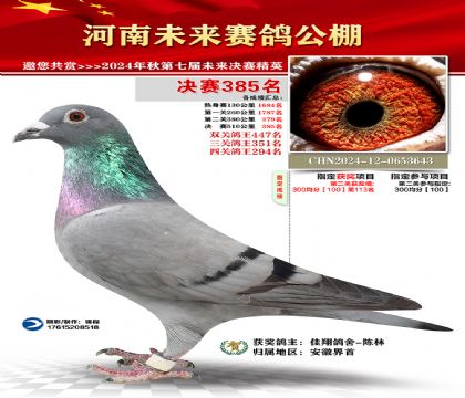 河南未来决赛385名